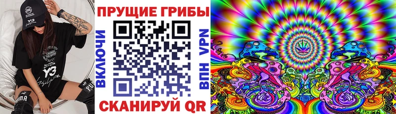 Галлюциногенные грибы Magic Shrooms  Купить  Грязовец 